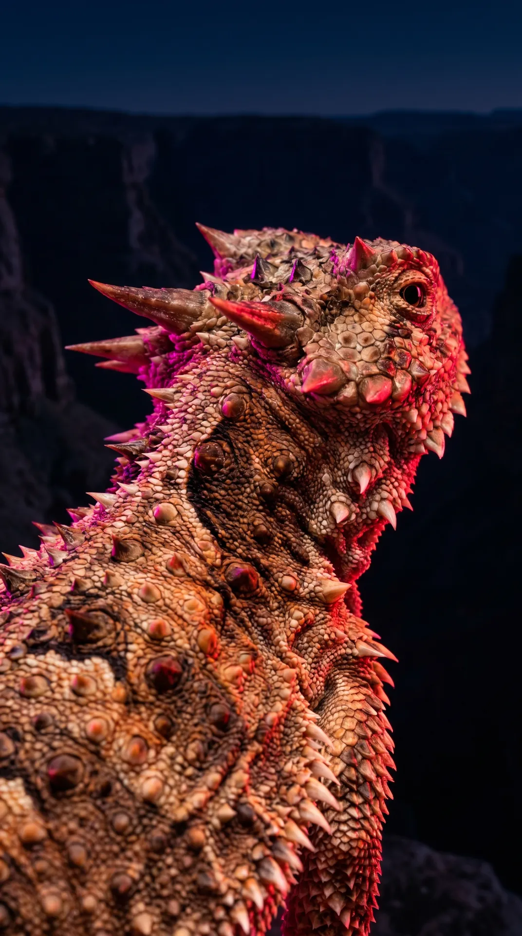 Horned Lizard