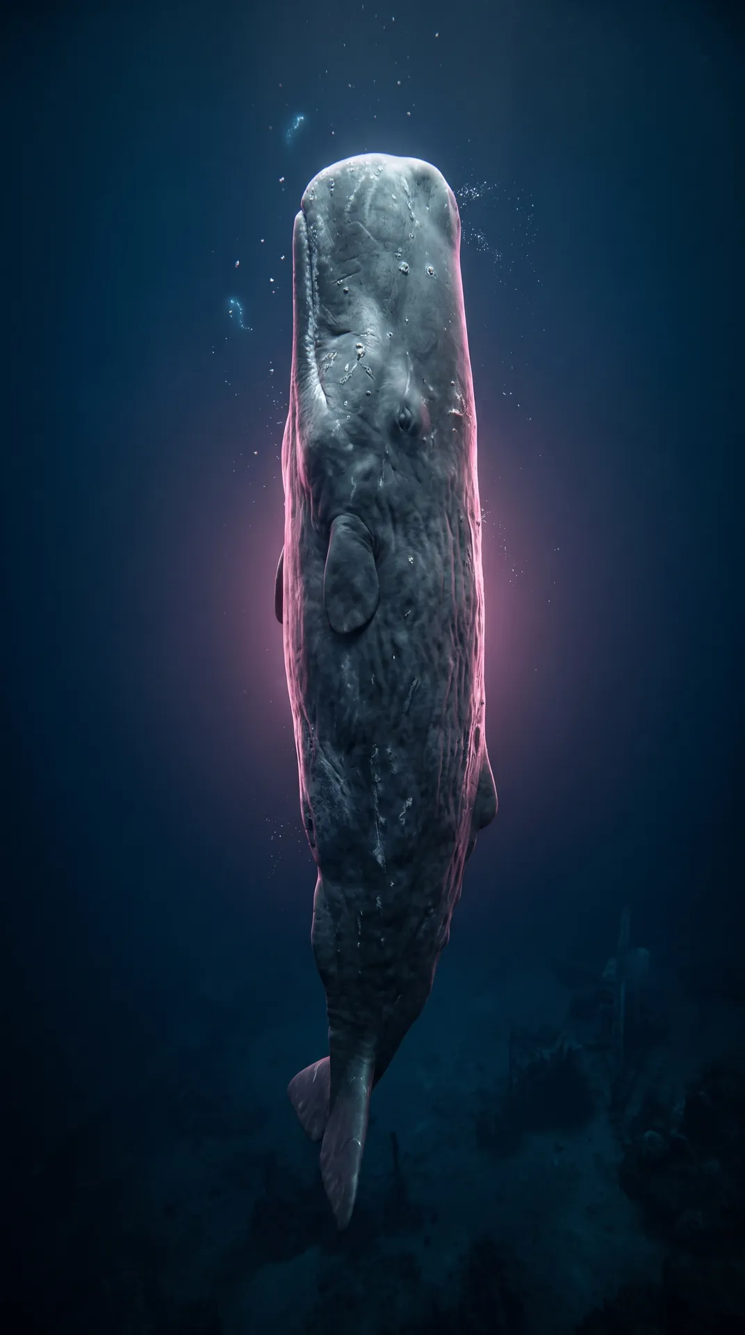 Sperm Whale