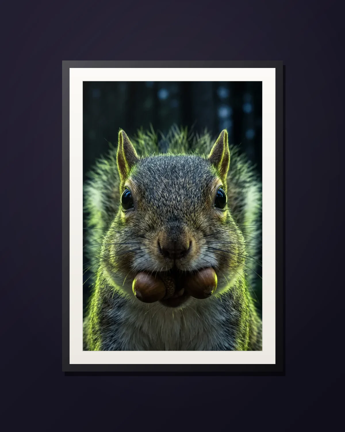 Full Cheeks — framed Gray squirrel art print