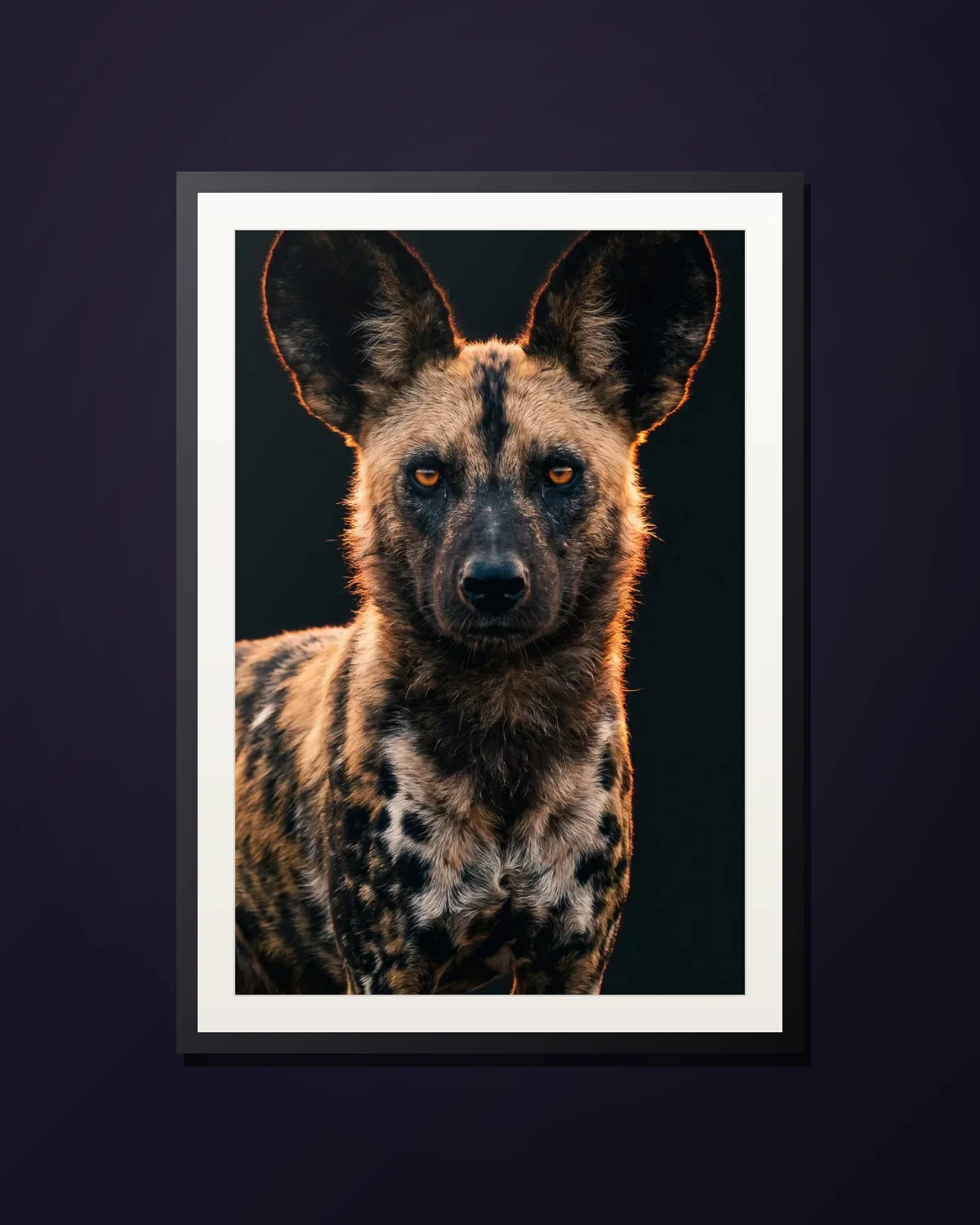 Painted Wolf — framed African wild dog art print